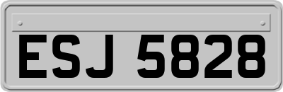 ESJ5828