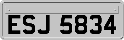 ESJ5834
