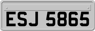 ESJ5865