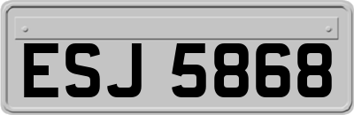 ESJ5868