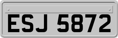 ESJ5872