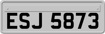 ESJ5873