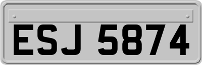 ESJ5874
