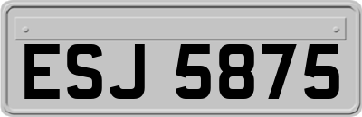 ESJ5875