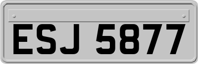 ESJ5877