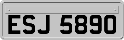 ESJ5890