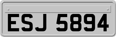 ESJ5894