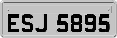 ESJ5895