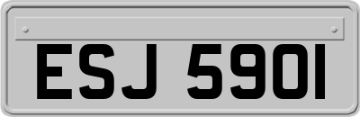 ESJ5901