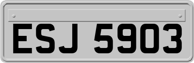 ESJ5903