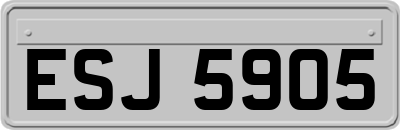 ESJ5905