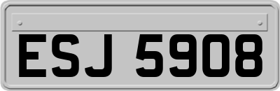 ESJ5908