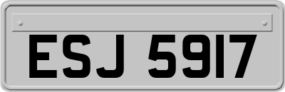 ESJ5917