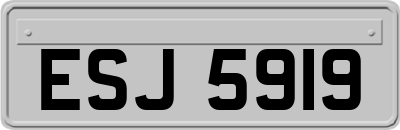 ESJ5919