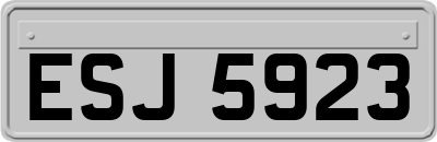 ESJ5923