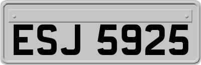 ESJ5925