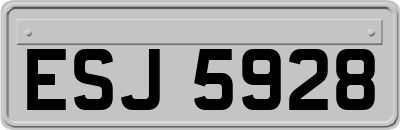 ESJ5928