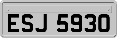 ESJ5930