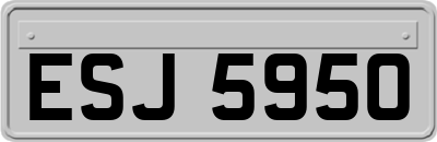 ESJ5950