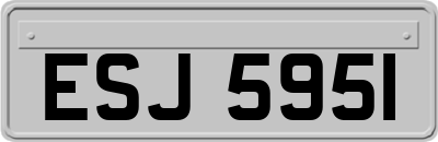 ESJ5951