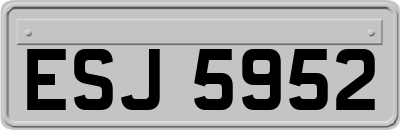 ESJ5952