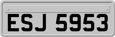 ESJ5953