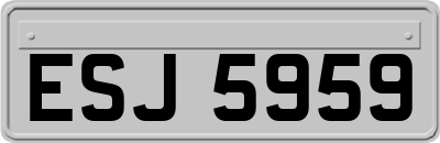 ESJ5959