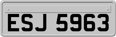 ESJ5963