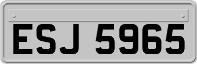 ESJ5965