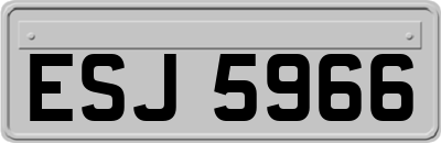 ESJ5966