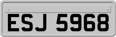 ESJ5968
