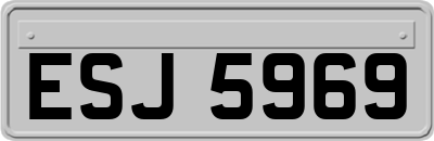 ESJ5969