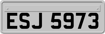 ESJ5973
