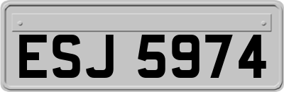 ESJ5974