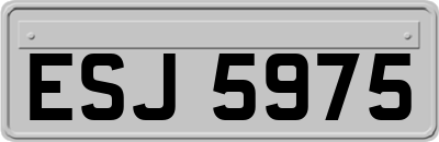 ESJ5975