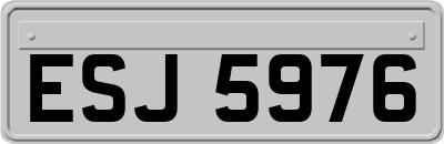ESJ5976
