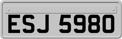 ESJ5980