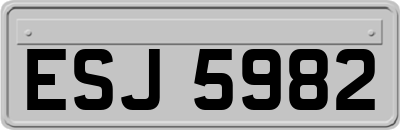 ESJ5982