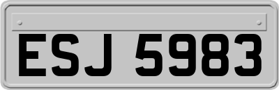 ESJ5983