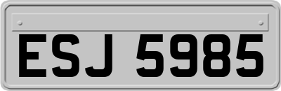 ESJ5985