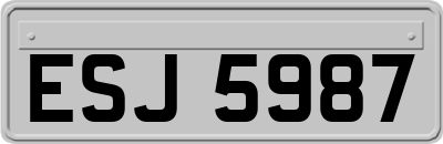 ESJ5987