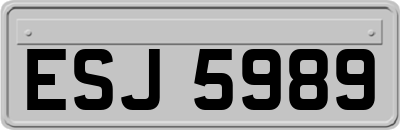 ESJ5989