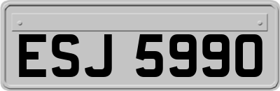 ESJ5990