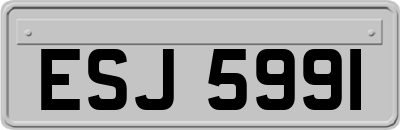 ESJ5991