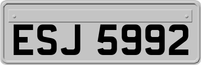 ESJ5992