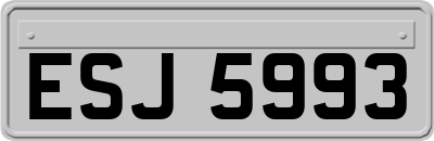ESJ5993