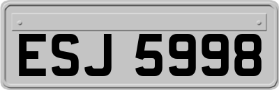 ESJ5998