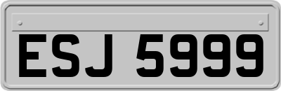 ESJ5999