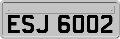 ESJ6002