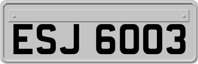 ESJ6003